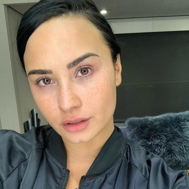 Demi Lovato se mostró al natural y cautivó las redes