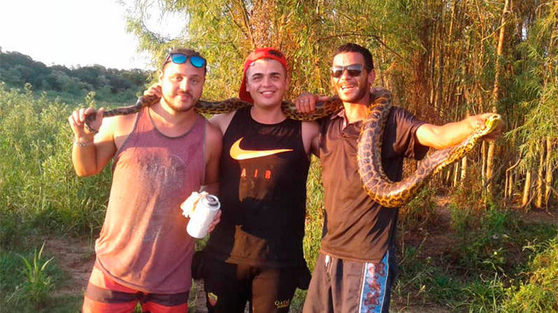 Hallaron una Curiyú de dos metros en la isla: Se tomaron fotos y la liberaron