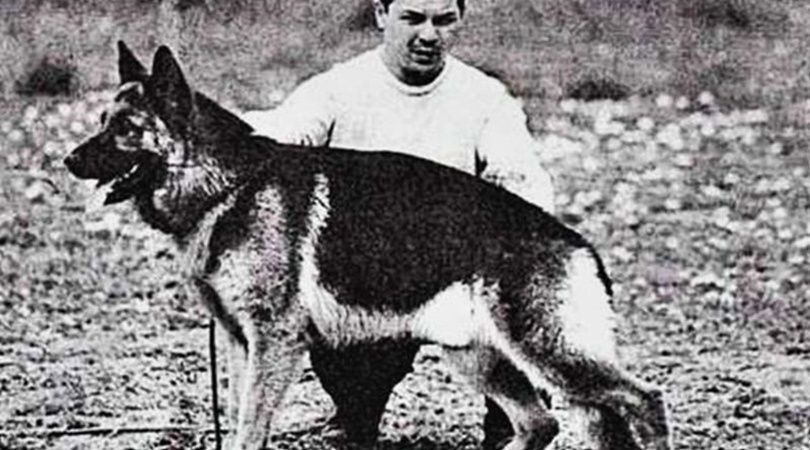 Día Nacional del perro: la historia de Chonino