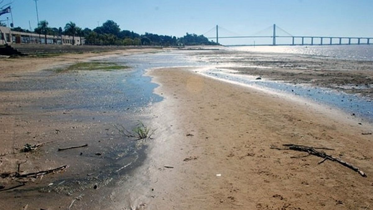 Preocupa el nivel crítico del Río Paraná