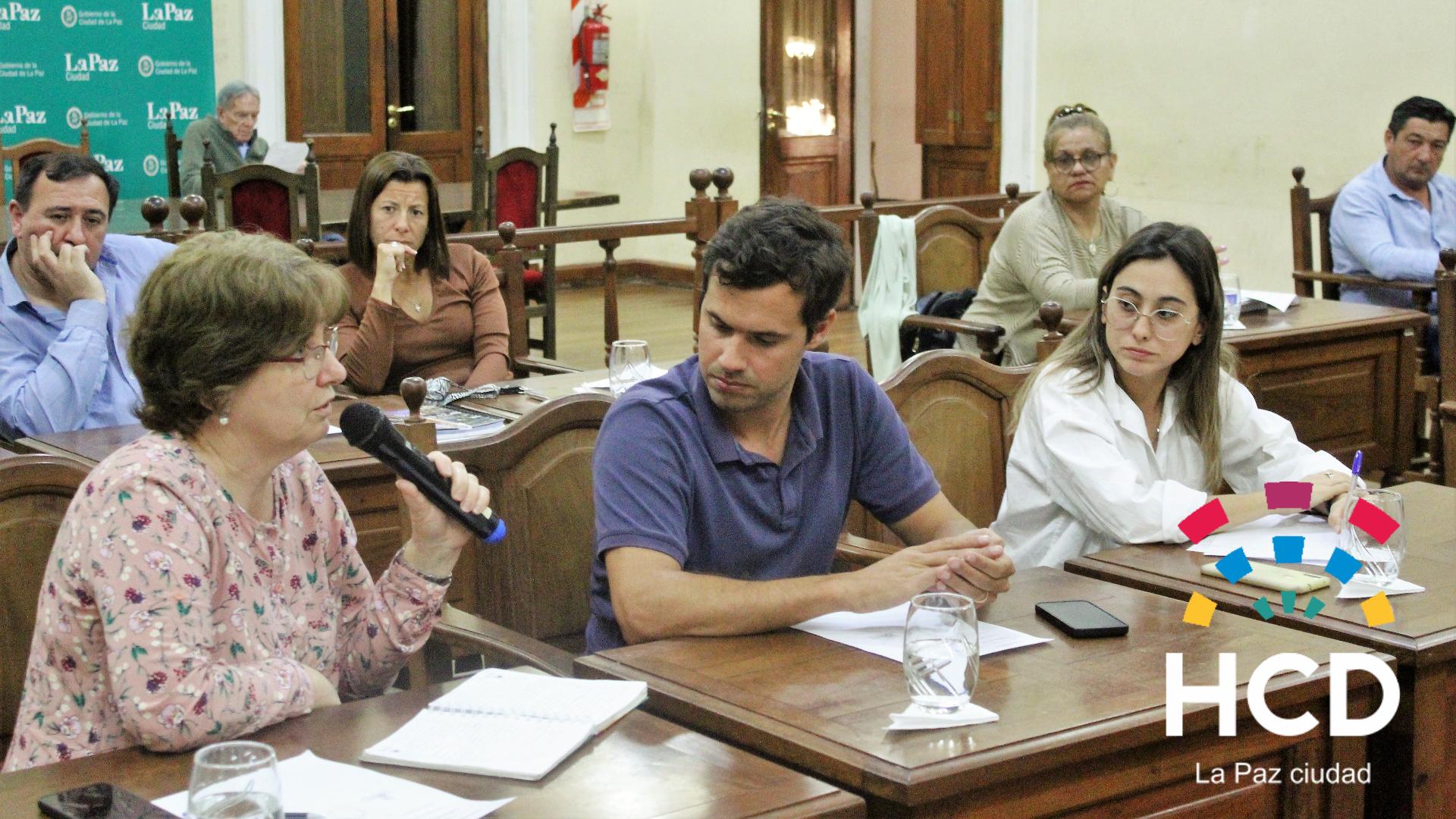 El HCD llevo a cabo la 20ª sesión ordinaria del periodo legislativo en curso